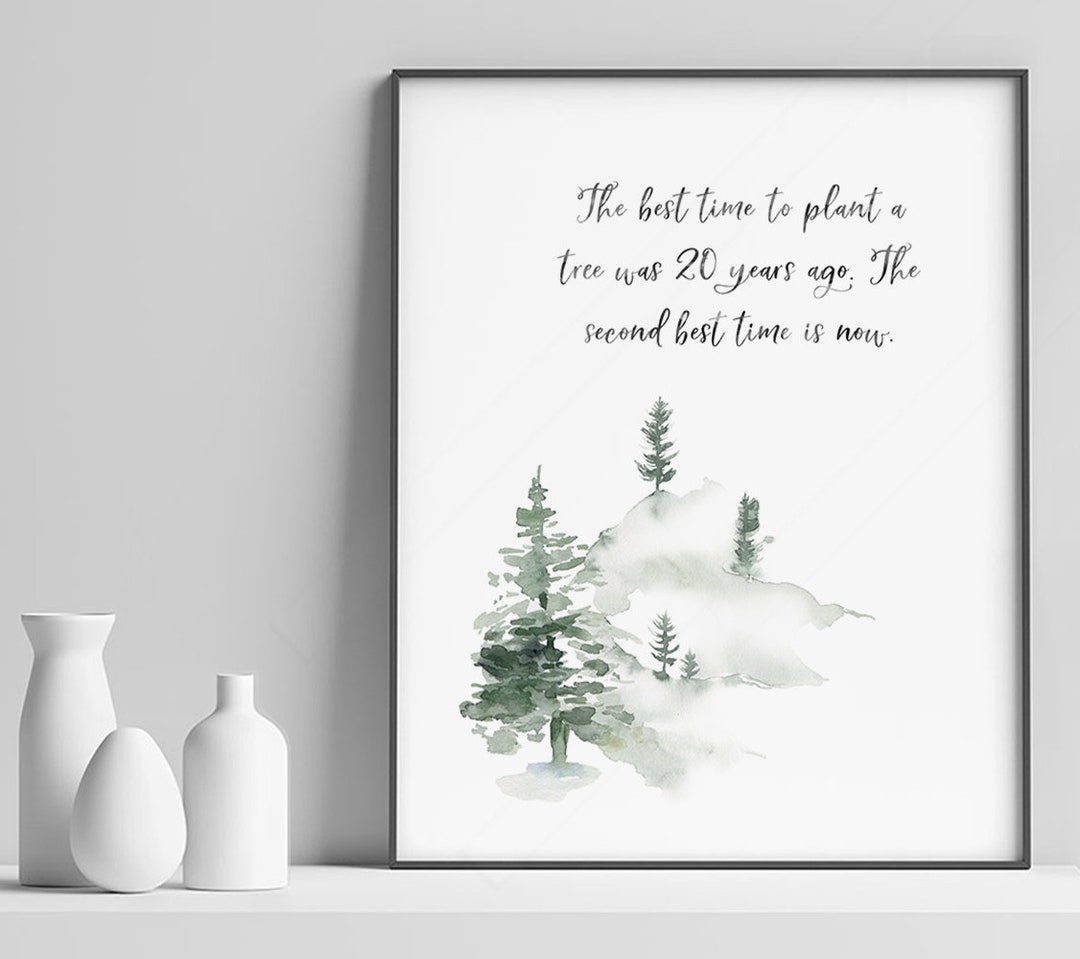 The Best Time to Plant a Tree Was 20 Years Ago. the Second Best Time is