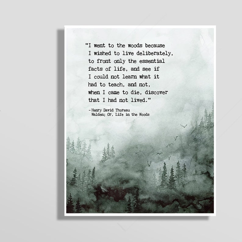 Henry David Thoreau Quote I Went to the Woods Walden quote Etsy