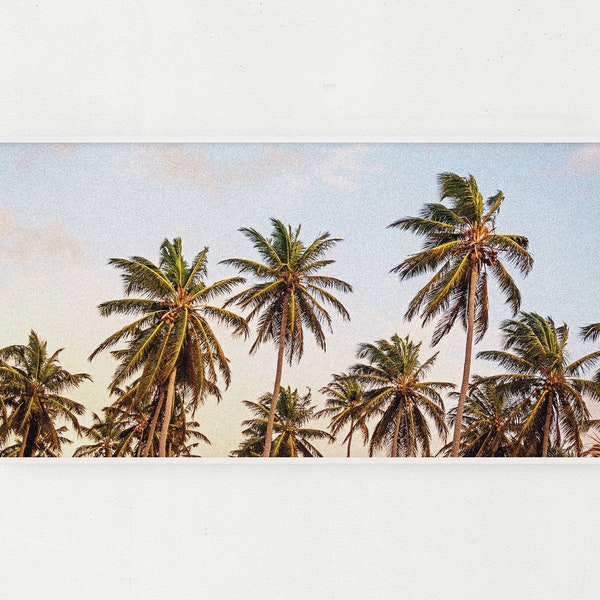 Large Vintage Style Palm Tree Panoramic Picture, Beach Photography Retro Wall Art, Coconut Palms at Sunset Panorama Bedroom Wall Decor