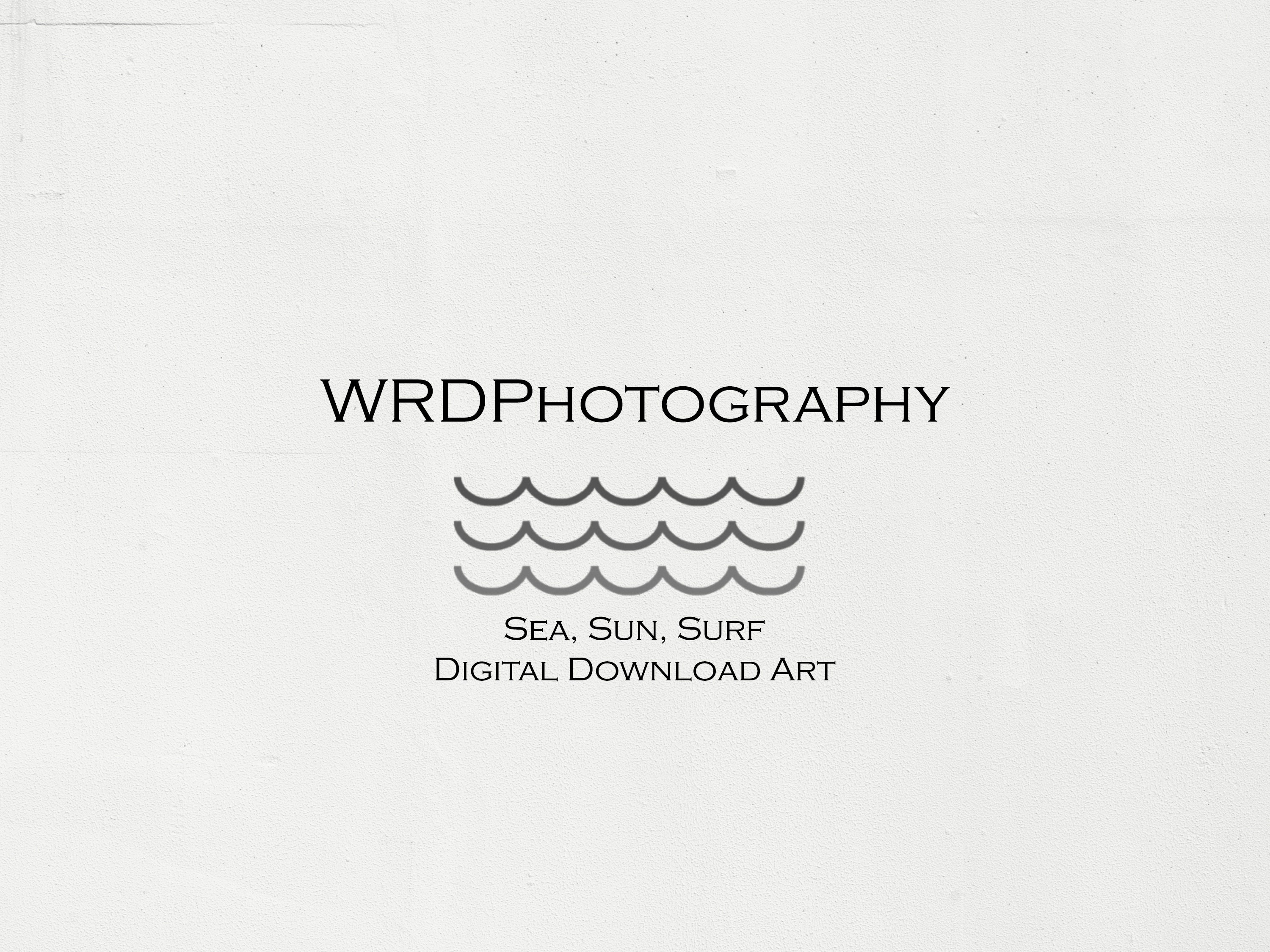 Black and White Surf Beach Decor Print Vintage Longboard Etsy