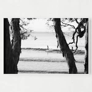 Puede incluir: Fotografía en blanco y negro de dos surfistas montando olas en el océano, enmarcada por las ramas de los árboles.
