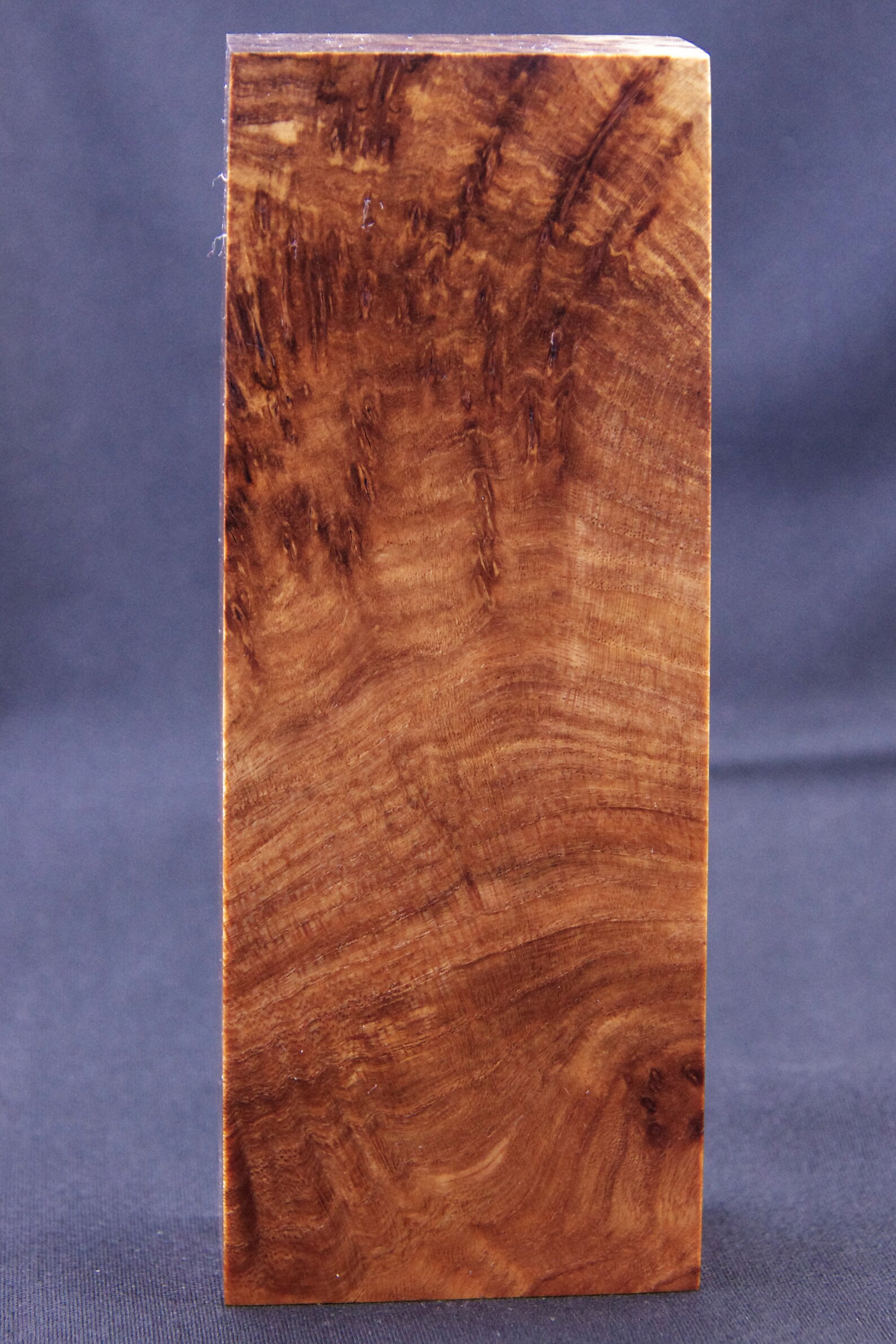 CLEAR Stabilized Elm burl wood Knife Scales wood scales Etsy