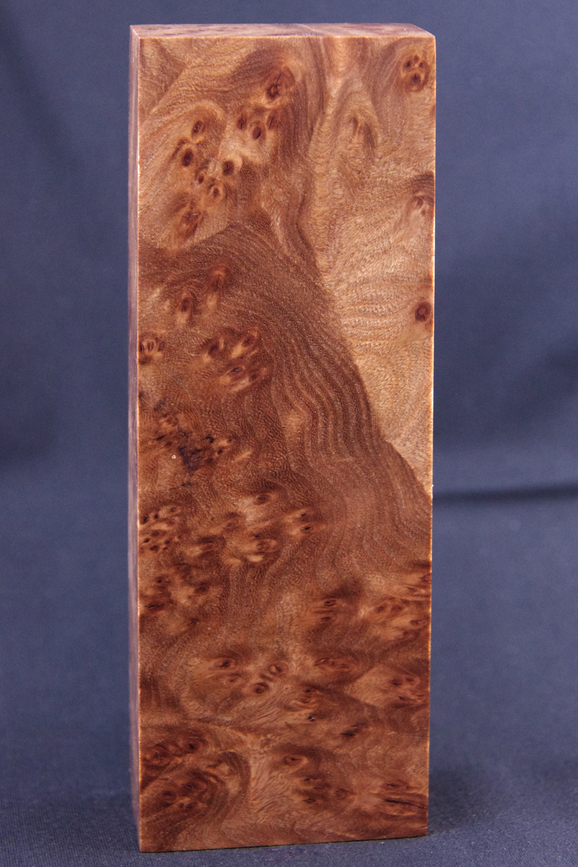 CLEAR Stabilized Elm burl wood Knife Scales wood scales Etsy