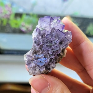Fluorite- Coahuila, Mexico