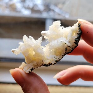 以下が含まれることがあります： 白く、ざらざらとした暗い茶色の縁のあるクリスタルクラスター。クリスタルは半透明で、繊細で羽根のような質感です。