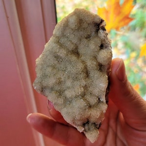 May include: A light-coloured, rough-textured mineral specimen. The stone has a crystalline structure with areas of darker colouration. The mineral is held in a hand, with a blurred background of autumn foliage.