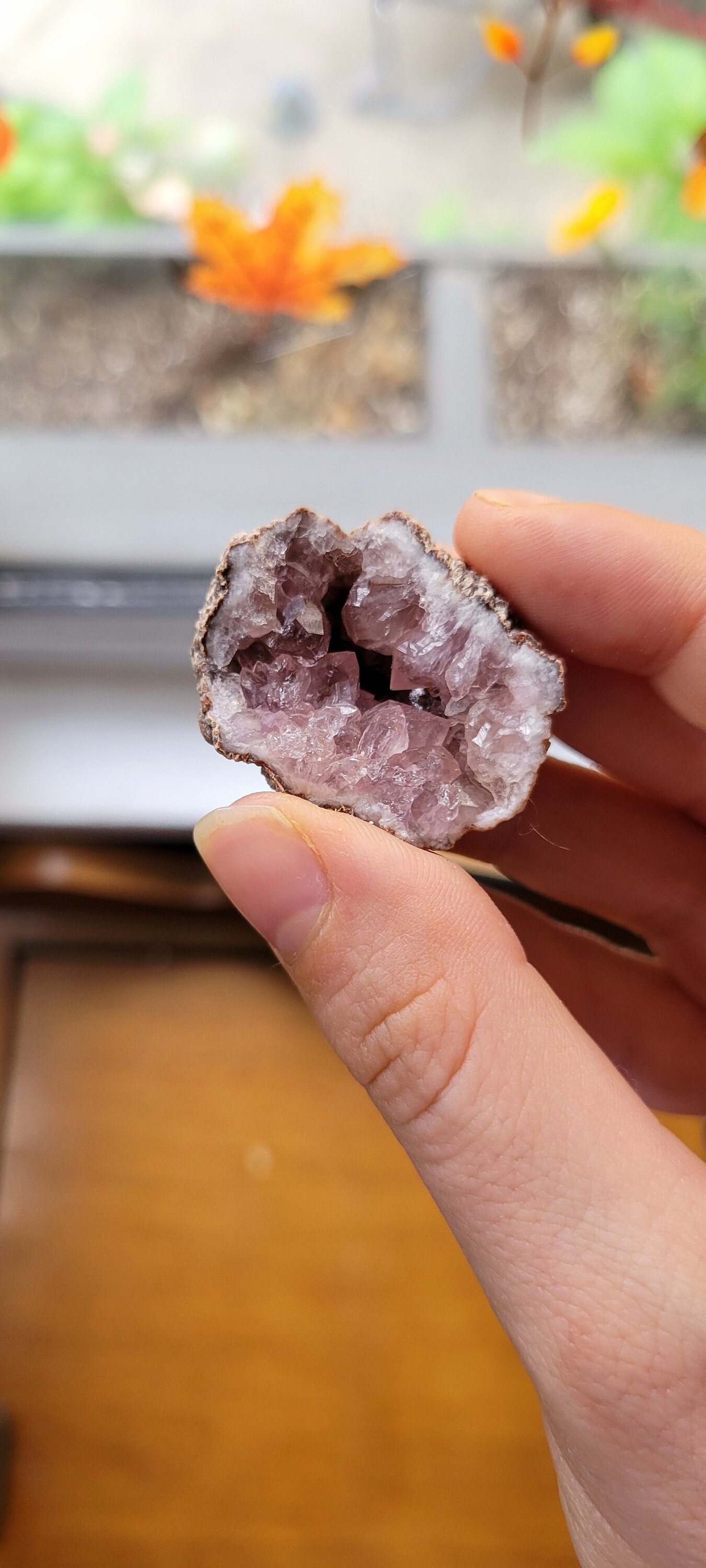 Pink amethyst geode half- Patagonia, Argentina