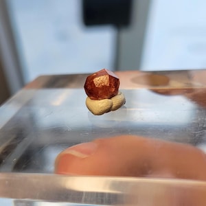 Op de afbeelding: Een klein, roodbruin kristal met een gefacetteerde vorm, rustend op een wit, pluche oppervlak. Het kristal wordt getoond op een helder glazen oppervlak.