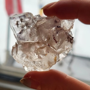Fluorite floater- Naica, Mexico