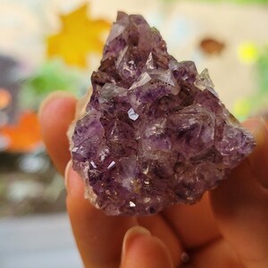 Puede incluir: Un cúmulo de cristales de amatista en varios tonos de púrpura, con algunos cristales que tienen una apariencia más translúcida. Los cristales están dispuestos en una forma natural e irregular.