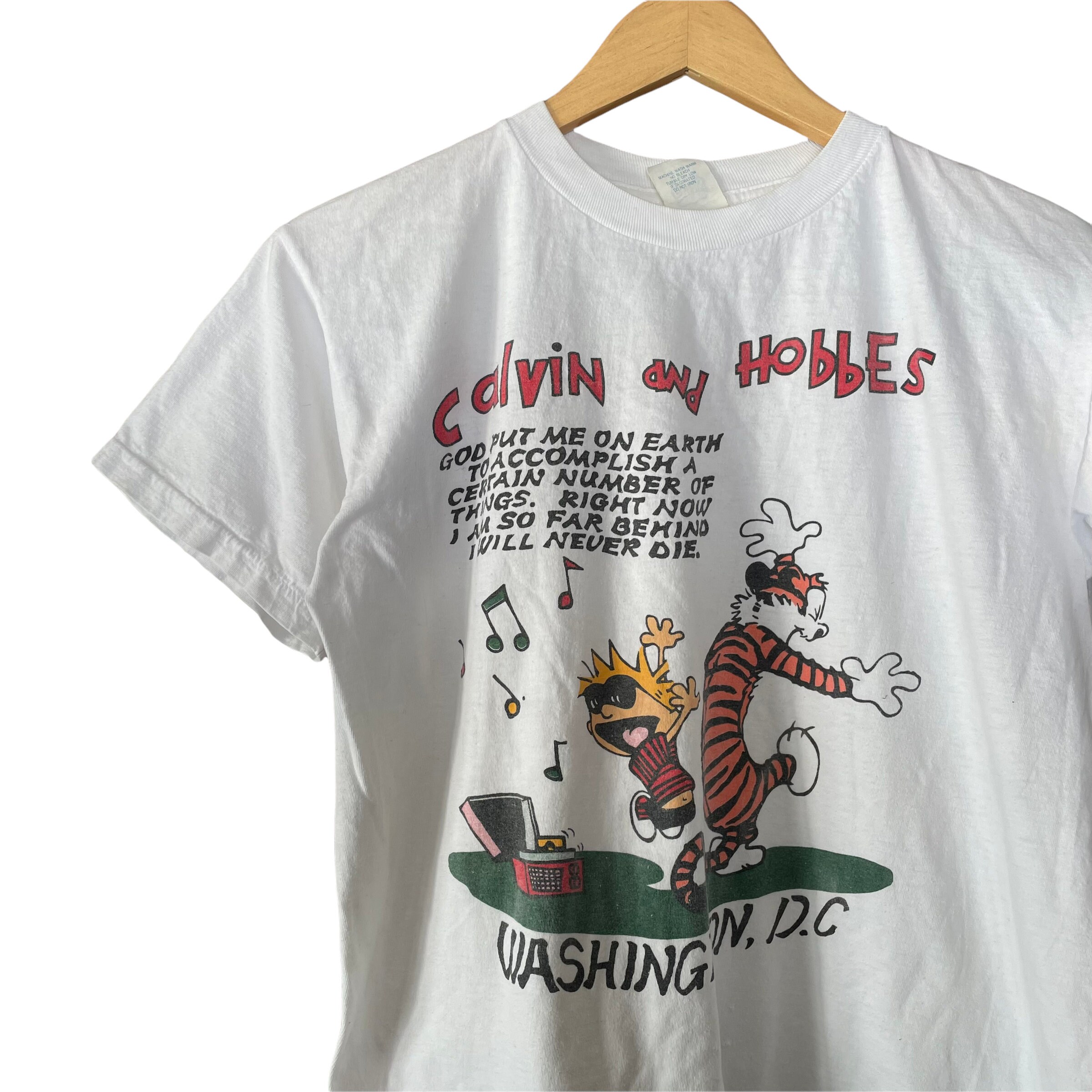 Vintage Calvin and Hobbes Washington DC 