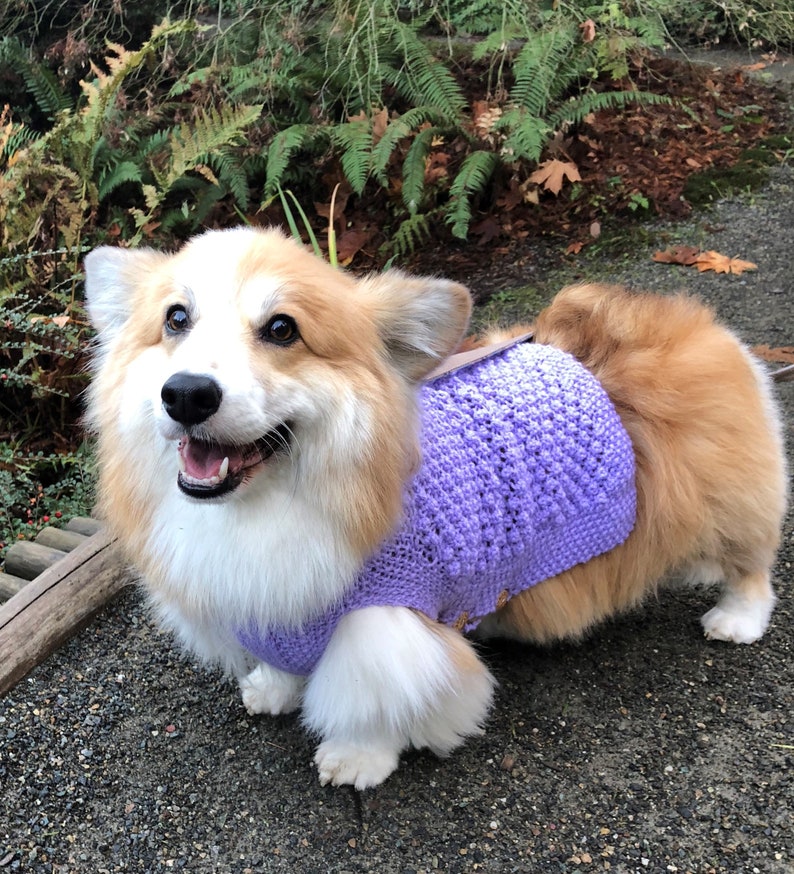 Handmade knit dog sweater