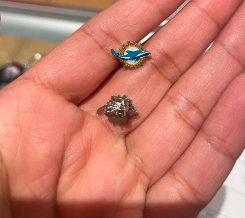 May include: Two small pins, one with a silver dolphin design and the other with a silver and blue dolphin design.