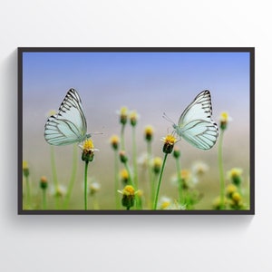 Mariposa cartel mariposa impresión mariposa mariposa pared arte niños decoración de la habitación colorida mariposa animales impresión insecto Macro oficina decoración