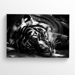 Tiger Print Tiger Poster Home Decor Living Room Decor Tiger Wall Art Wild Nature Wall Art Animals Print Boss Gift Office Decor Wild Cats