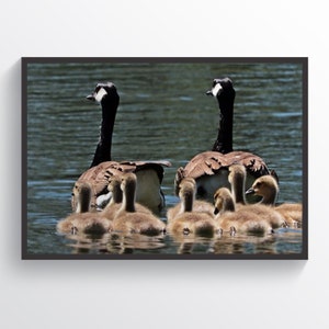 Goose Family Poster, Geese Print, Valentine&#39;s Day Gift, Goose Art Love Wall Decor, Family Wall Art, Home Wall Decor, Husband Gift, Wife Gift
