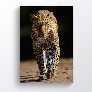 Leopard Poster, Wild Cat Wall Art, Lropard Print