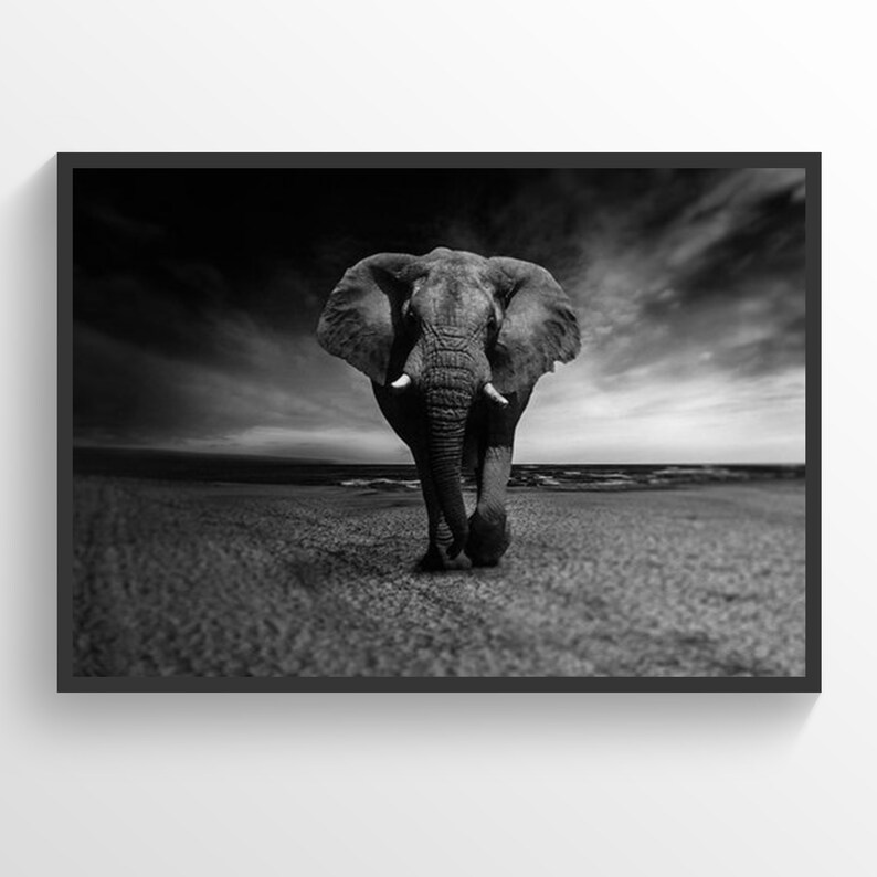 Elephant Poster Elephant Print Home Decor Living Room Decor Elephant