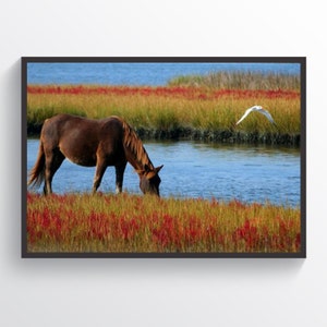Beautiful Horse Poster Horse Print Home Decor Children Room Decor Horses Wall Art Kids Room Wall Art Animals Print Horse Decor Horse Art