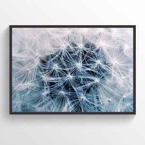 Dandelion Seeds poster, Dandelion Print, Dandelion Wall Decor, Botanical Print, Dandelion Photography