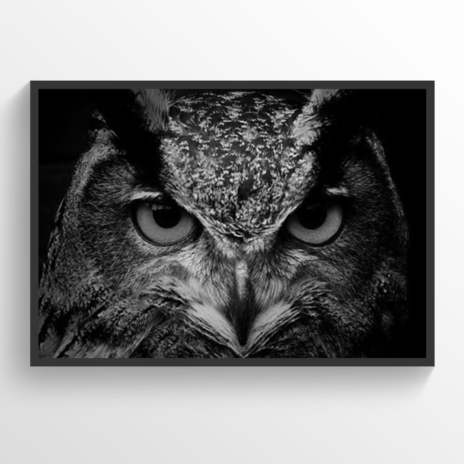 Owl Poster Owl Print Home Decor Birds Wall Art Birds Lover Print Hunter Gift Animals Print Owl