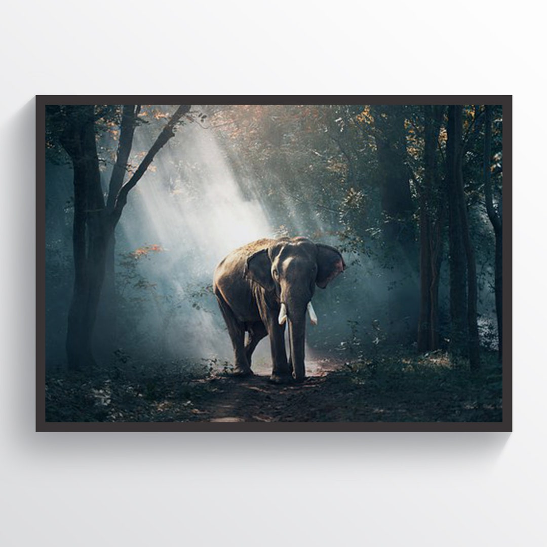 Elephant in the Forest Poster, Elephant Print, Exotic Elephant, Living