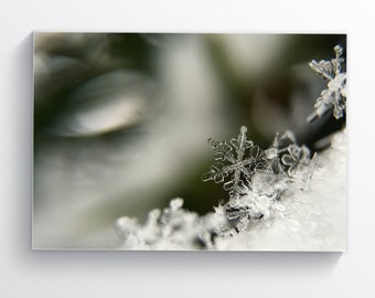 Snowflake, Macro Photography, Fine Art Photo Print Winter Poster  Christmas Printable Art Snow Covered Trees Holiday Decorating Winter Decor