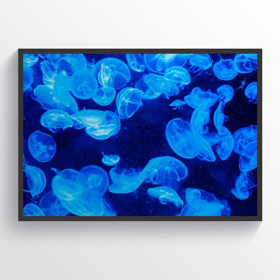 Blue Jellyfish Poster, Dark Deep Ocean Print, Jellyfish Print, Ocean Wall Decor, Ocean Wall Art, Underwater Poster, Underwater Print
