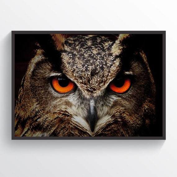Owl Poster Owl Print Home Decor Birds Wall Art Birds Lover Print Hunter Gift Animals Print Owl Face Poster Animals Wall Art Bird Art