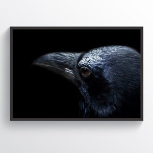 Black Crow Poster, Dark Crow Print, Birds Wall Art, Bird Poster, Bird Print, Crow Photo