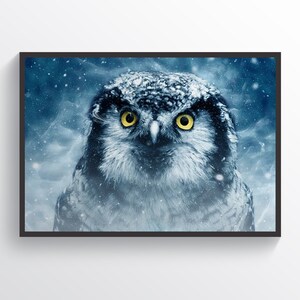 Owl Poster Birds Wall Art Owl Print Home Decor Birds Lover Print Hunter Gift Animals Print Owl Face Poster Animals Wall Art Kids Room Decor