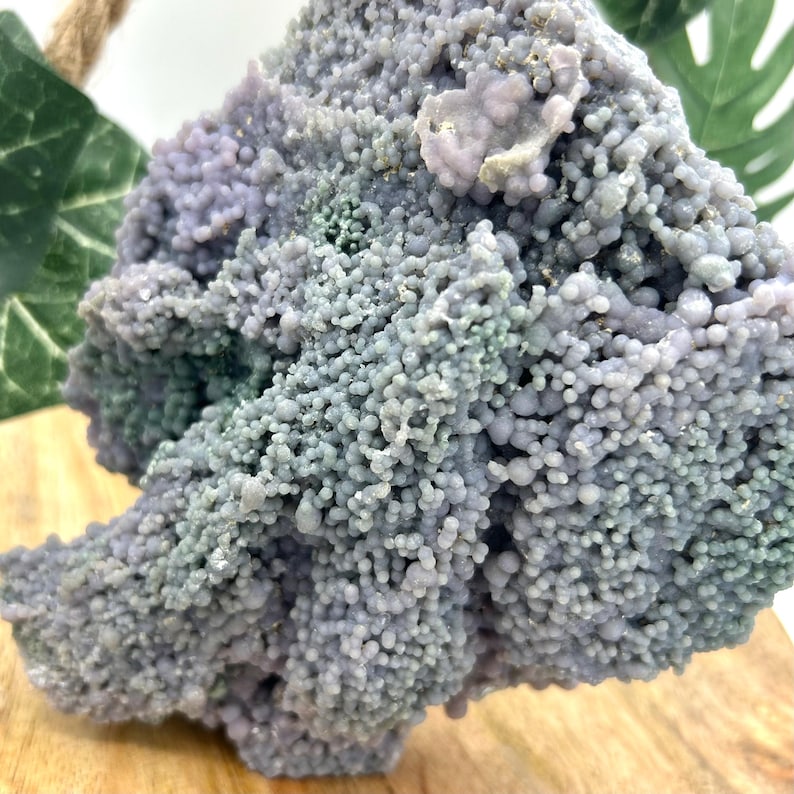 May include: A close-up of a grape agate specimen. The stone features a bubbly, botryoidal texture in shades of lavender and gray-green. The surface has a granular appearance, with small, rounded formations clustered together.