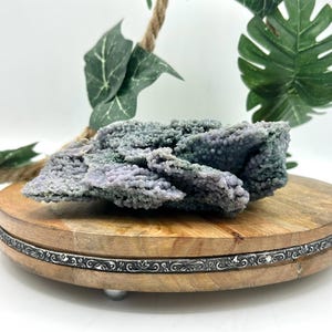 May include: A cluster of botryoidal chalcedony, showcasing a captivating blend of lavender, gray, and green hues. The mineral formation is displayed on a round wooden stand with a decorative silver band. The background includes green foliage and a rope.