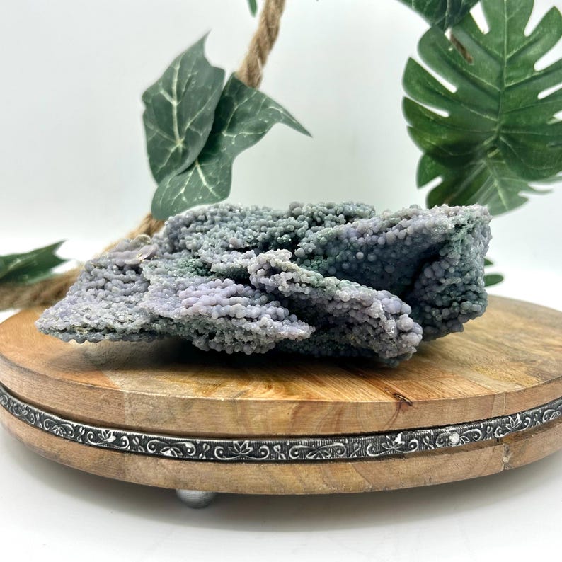 May include: A cluster of botryoidal chalcedony, showcasing a captivating blend of lavender, gray, and green hues. The mineral formation is displayed on a round wooden stand with a decorative silver band. The background includes green foliage and a rope.
