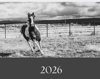 May include: Black and white image of a horse running in a field. The horse is brown and white, with a dark mane and tail. The background includes a fence, field, and cloudy sky. The year 2026 is printed at the bottom.