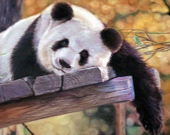 Lazy Panda Drawing: Colored Pencil Animal Art, 10x13 Unframed