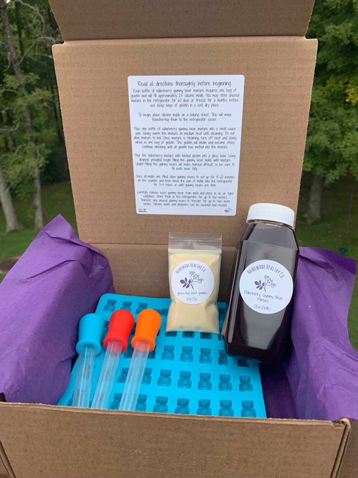 DIY Elderberry Gummy Bear Kit Etsy