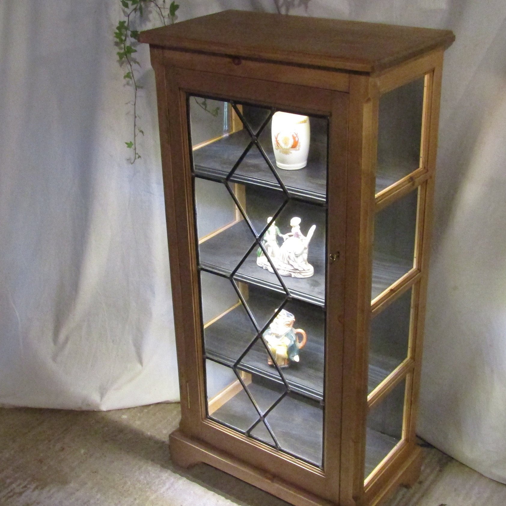 Glazed Pine Display Cabinet Bookcase Astragal Lead Door Etsy