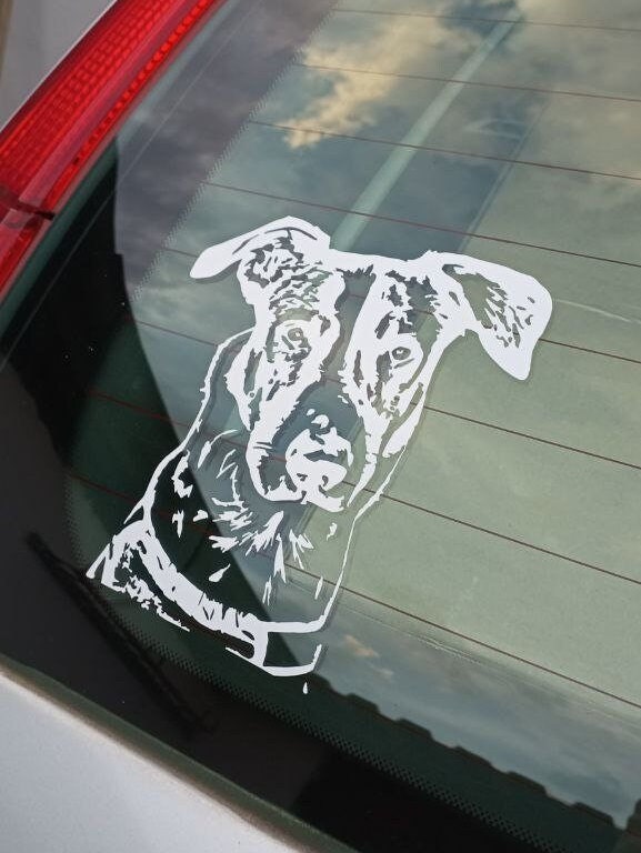 ZXCVWWE Lustiger Hunde-Aufkleber für Pkw-Heckscheibe und  Heckscheibenwischer, wackelnder Schwanz, reflektierender Vinyl- Auto- Aufkleber: : Auto & Motorrad