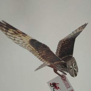 May include: A paper owl with outstretched wings, holding a letter with a Santa Claus illustration and the text "2018". The owl has brown and white patterned feathers and is set against a white background.