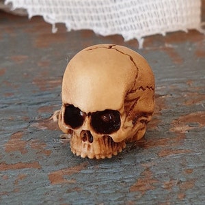 Human Skull Dollhouse Miniatures Gothic Skull Miniature Human Skull 20x23mm Gothic Goth Spooky Halloween Miniature