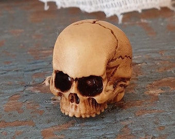 Hand-Painted Resin Human Skull: Gothic Dollhouse Miniature (20x23mm)