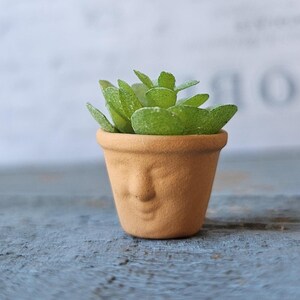 May include: A small terracotta pot with a face design, holding a green succulent plant. The pot is a light brown color and sits on a blue wooden surface. The plant has multiple green leaves.
