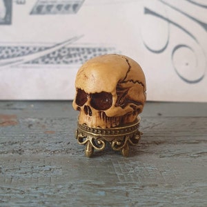 Human Skull on pedestal - Dollhouse Miniatures Gothic Skull Miniature Human Skull 20x23mm Gothic Goth Spooky Halloween Miniature