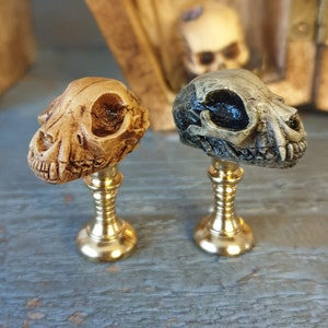 May include: Two small animal skull bottle stoppers, one is a light brown color and the other is a dark gray color. Both are mounted on gold metal bases.