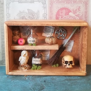 Witch Shadow box Potion Bottles Bottle Owl Broom Halloween Occult Oddities Art Shadowbox Collage Miniatures Display Bottles Skull curiosity