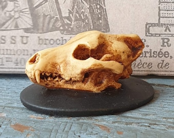 Resin Wolf Skull Miniature: Gothic Dollhouse Halloween Decor