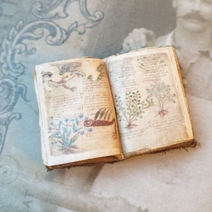 1 Miniatur offenes Buch für Puppenhaus, botanische Kräuterbuch, Hexenhaus Halloween schreiben - gothic morbid