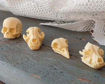 Miniature Skull Set: Human, Cat, Wolf, Bird - Dollhouse Oddities
