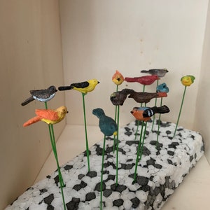 May include: A collection of small, colourful bird figurines on green wire stems, arranged on a black and white foam base.